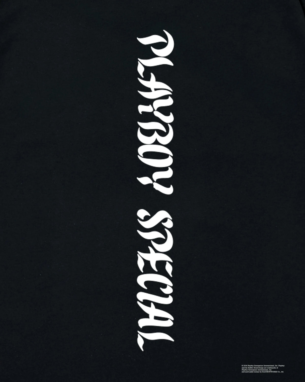 PLAYBOY L/S TEE II | NEXUSVII.(ネクサスセブン) | プレイボーイ