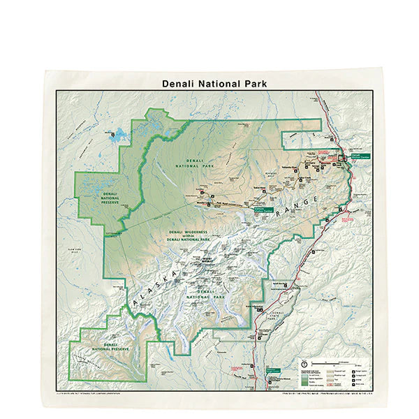 The Printed Image / Nature Print Bandana Map