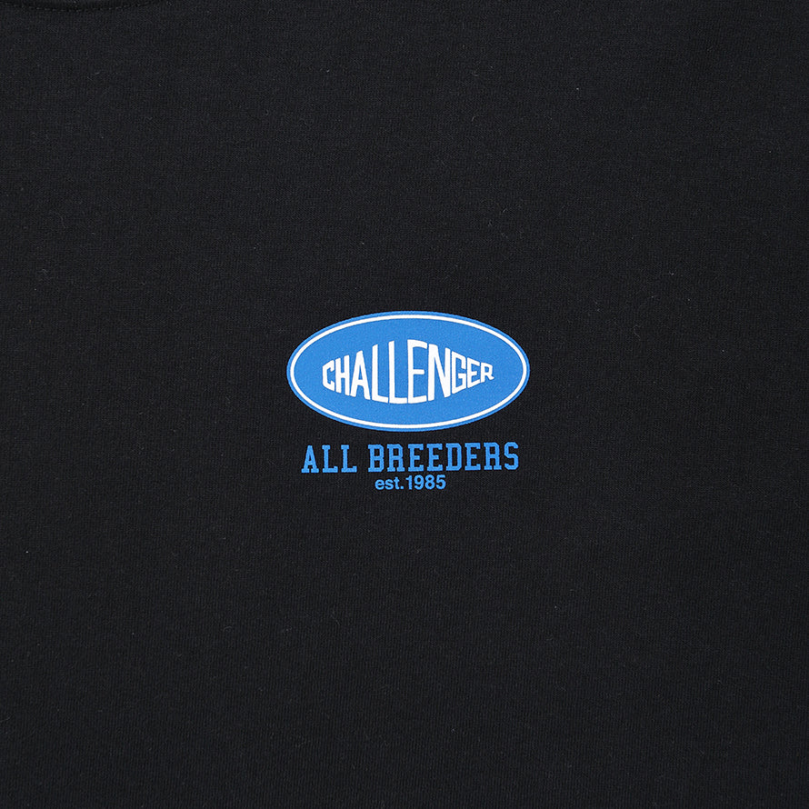 L/S SUNSET DRIVE TEE | CHALLENGER | THE GROUND depot. | THE GROUND