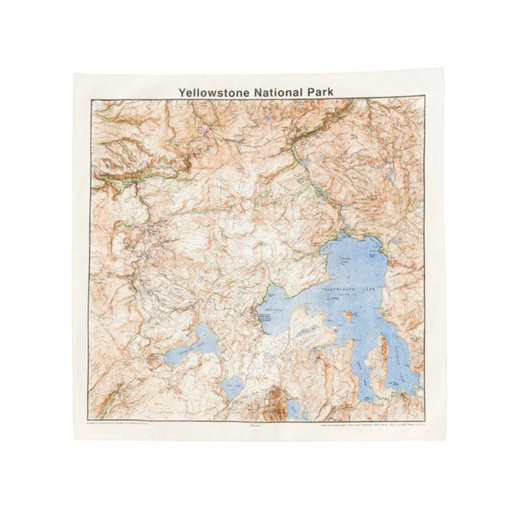 The Printed Image / Nature Print Bandana Map