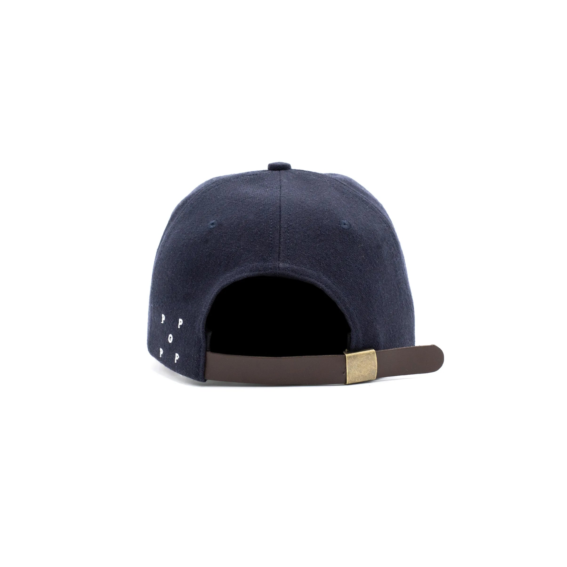 acid sixpanel hat