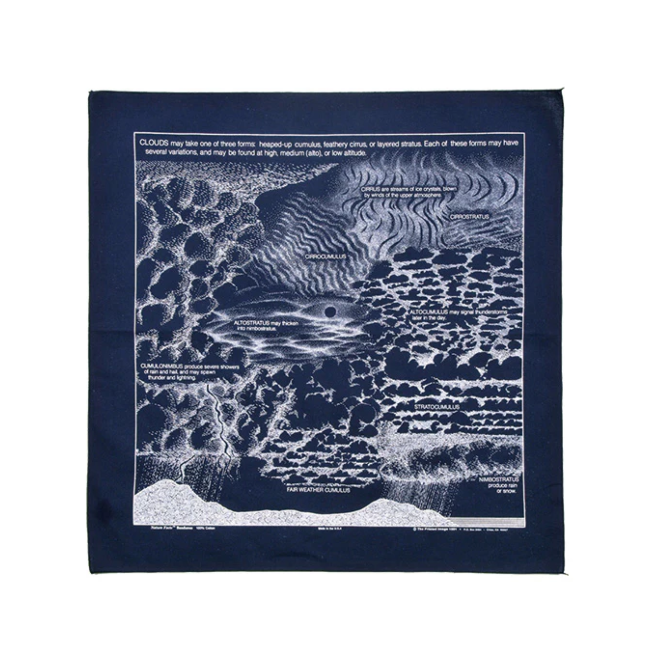 The Printed Image / Nature Print Bandana