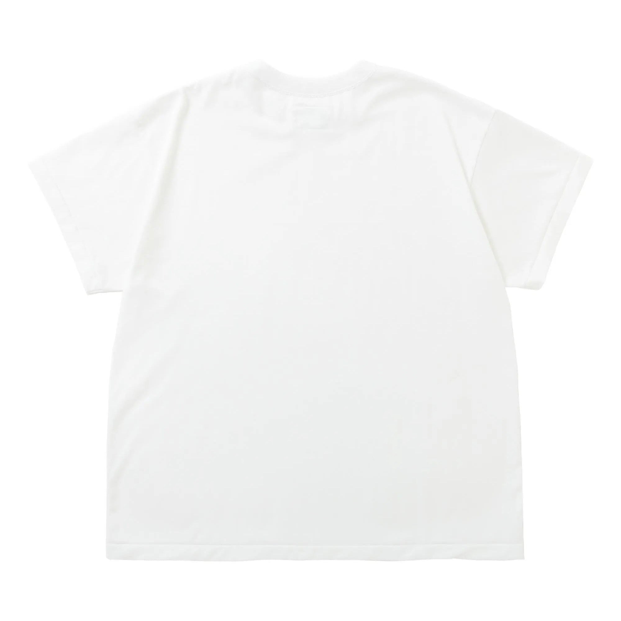 HEAVY PLATING ICE PACK T [2COLORS]