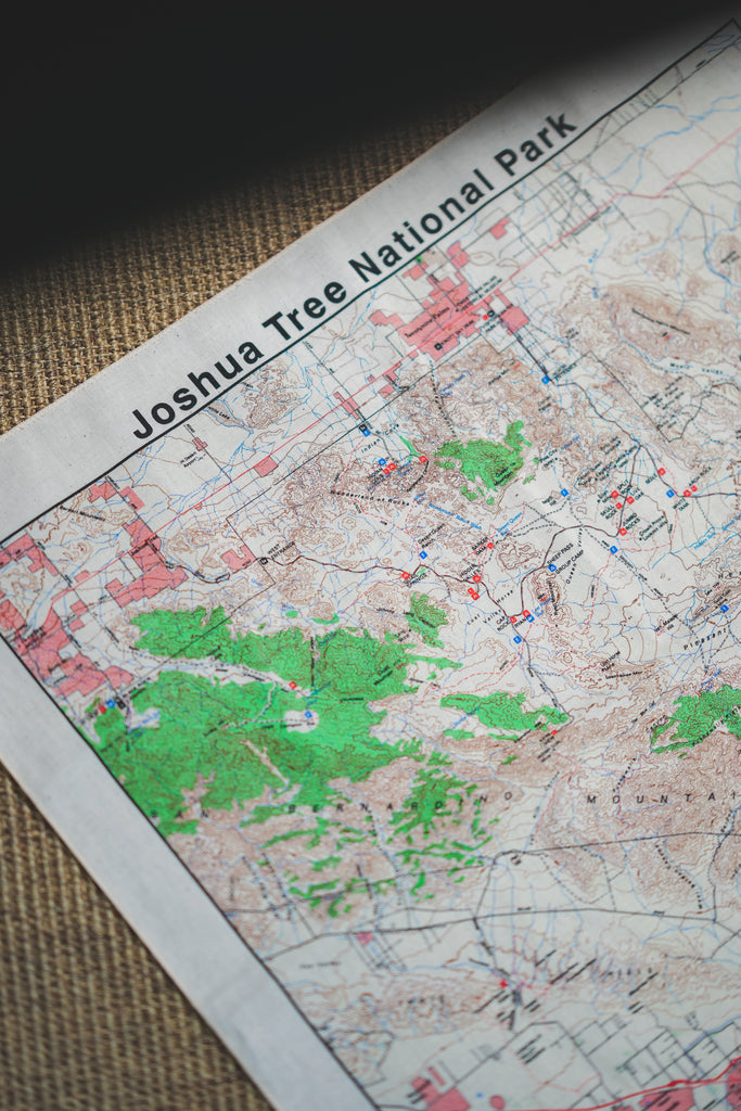 The Printed Image / Nature Print Bandana Map