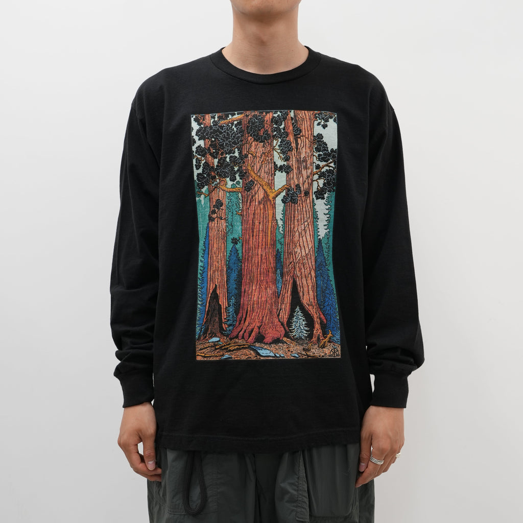 Tom Killion / Giant Sequoia L/S Tee