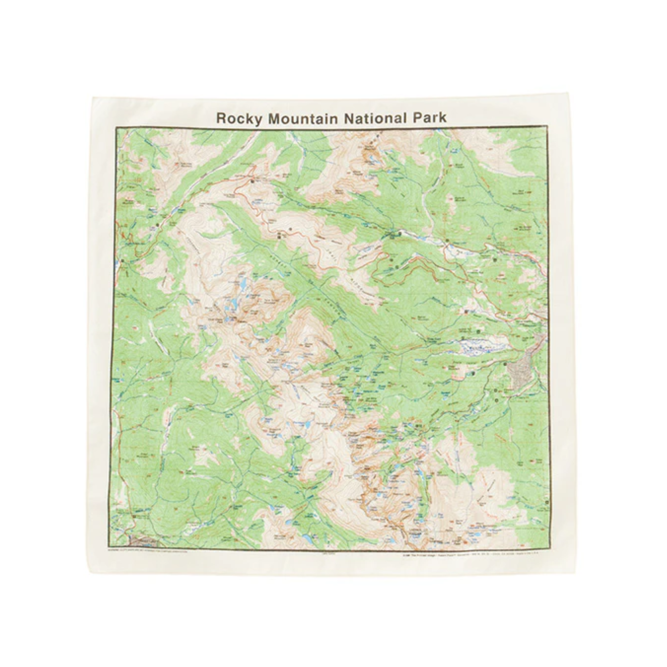 The Printed Image / Nature Print Bandana Map