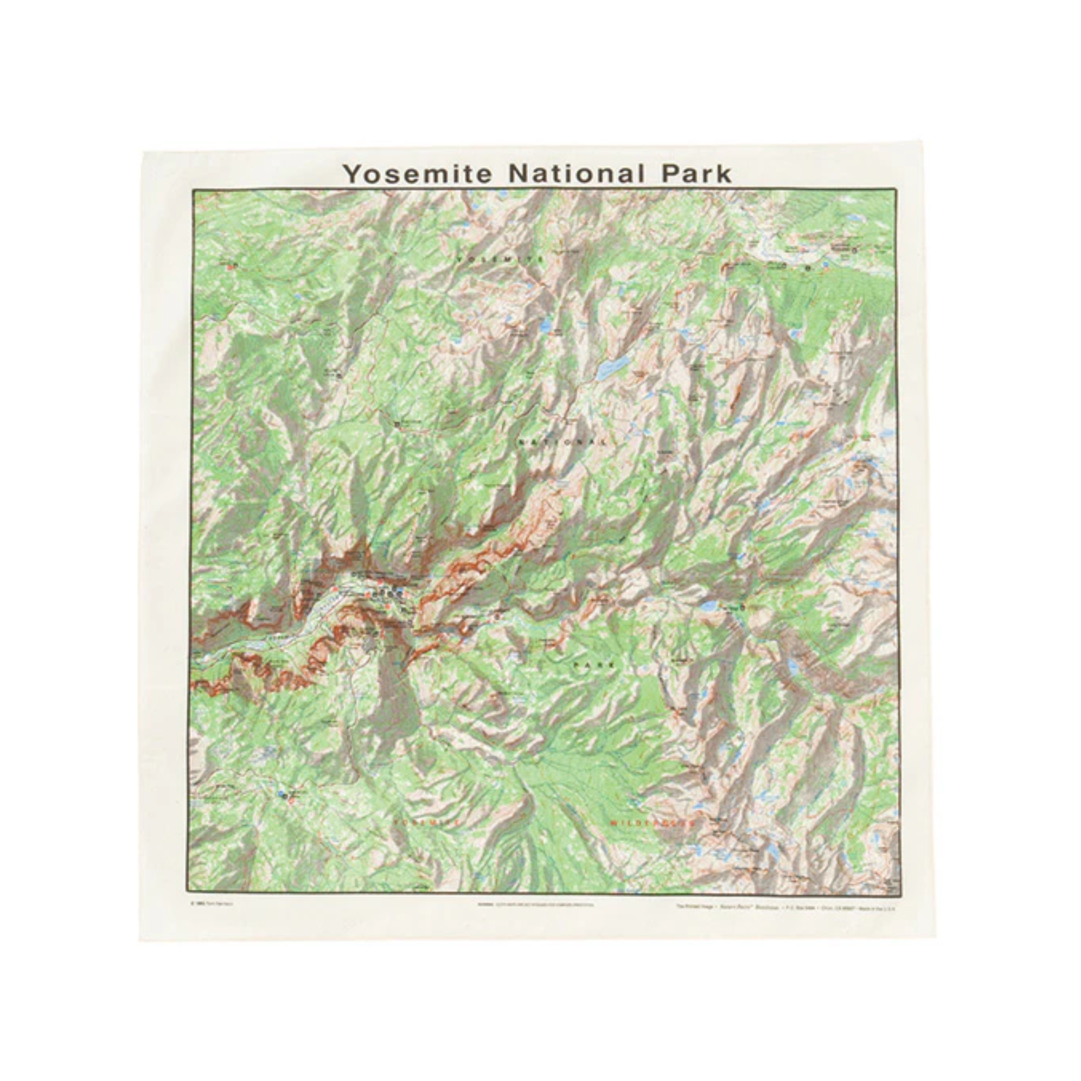 The Printed Image / Nature Print Bandana Map