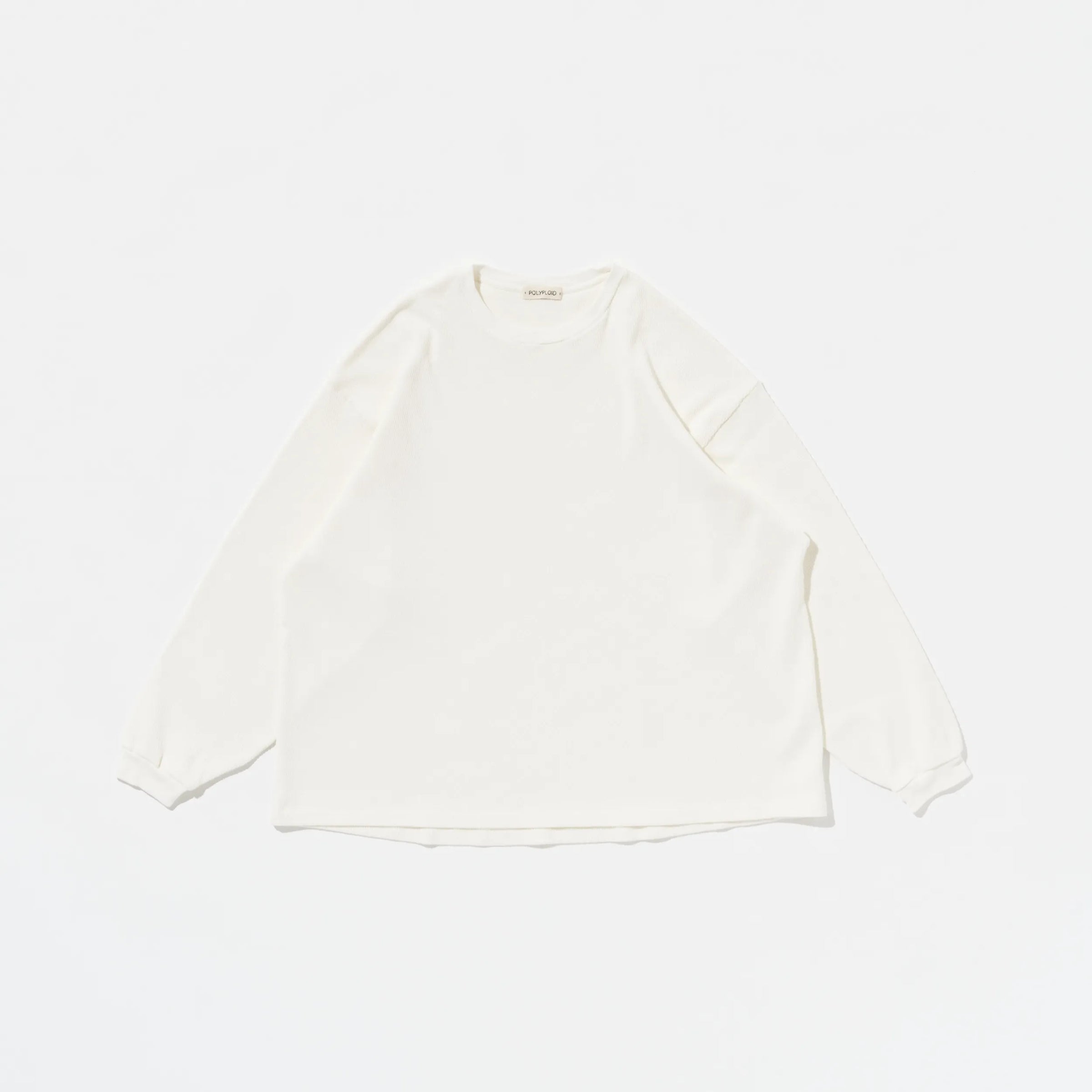 OVERSIZE LONGSLEEVE C | POLYPLOID | THE GROUND depot. | THE