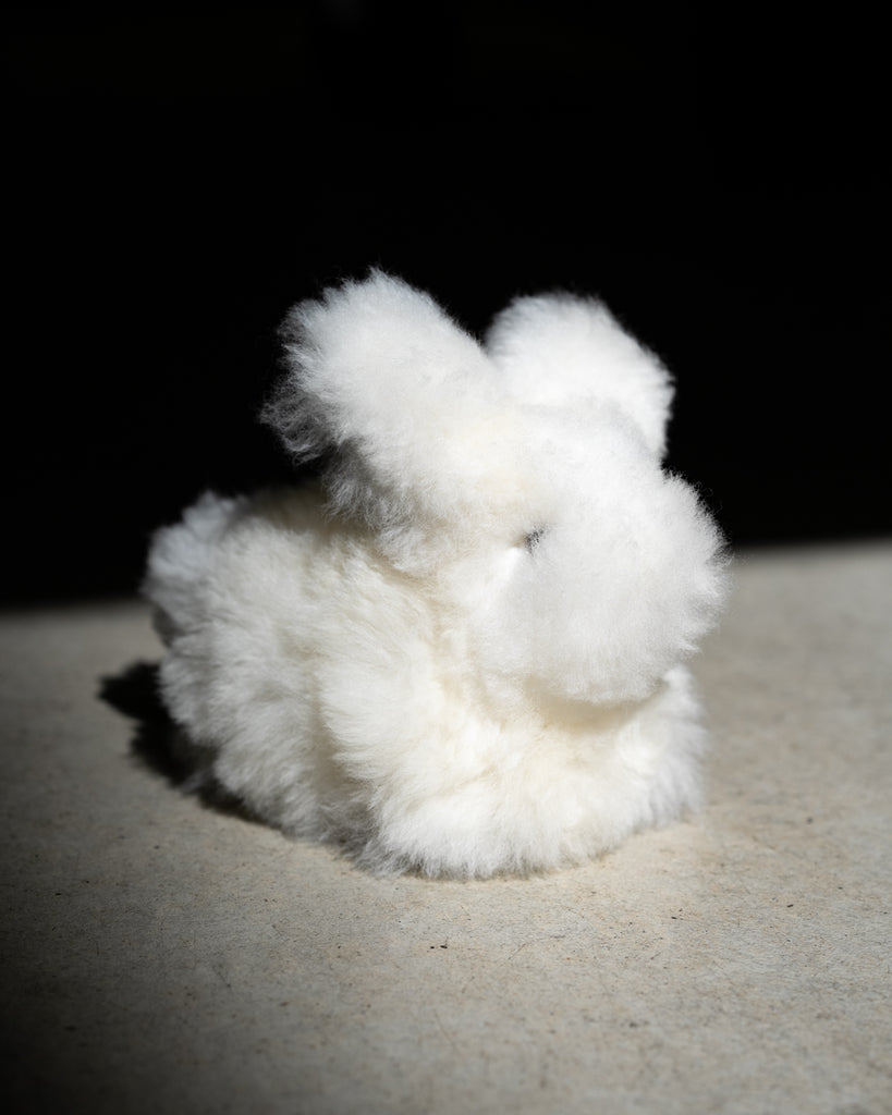 el mare / Peru Alpaca Rabbit