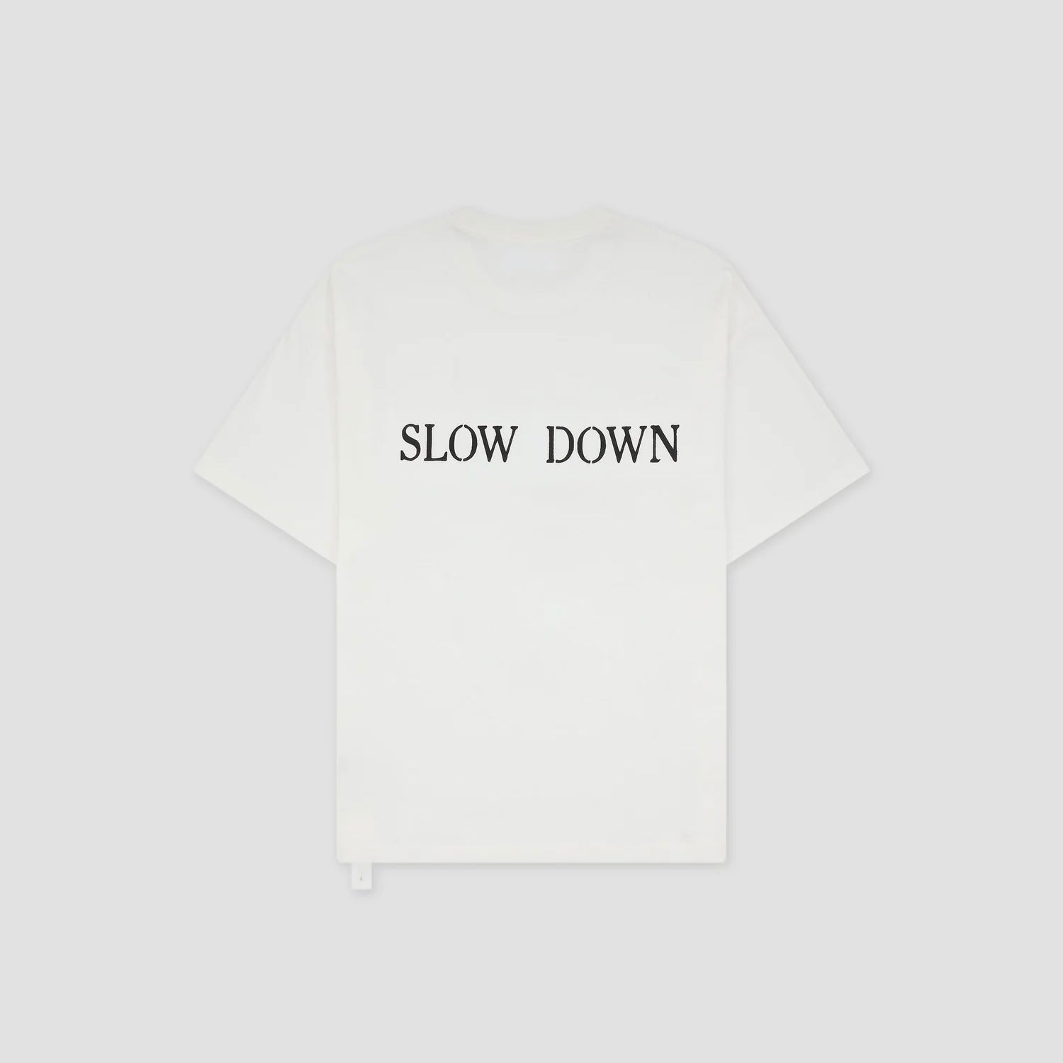 Loose Fit Tshirt Landart Print [2 COLORS]