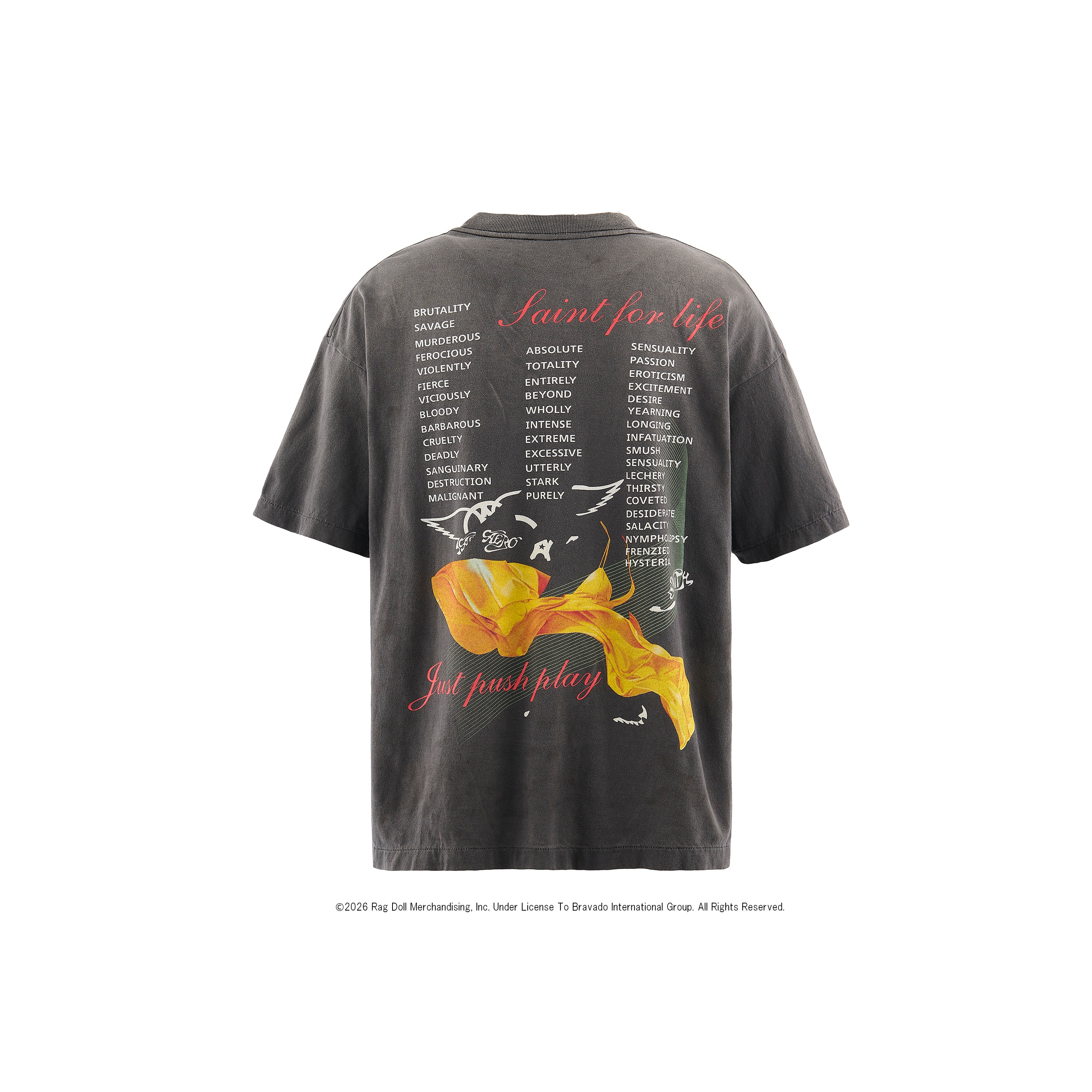 SM-MK8-0000-C25/AS_SS T-SHIRT/AEROSMITH/BLACK