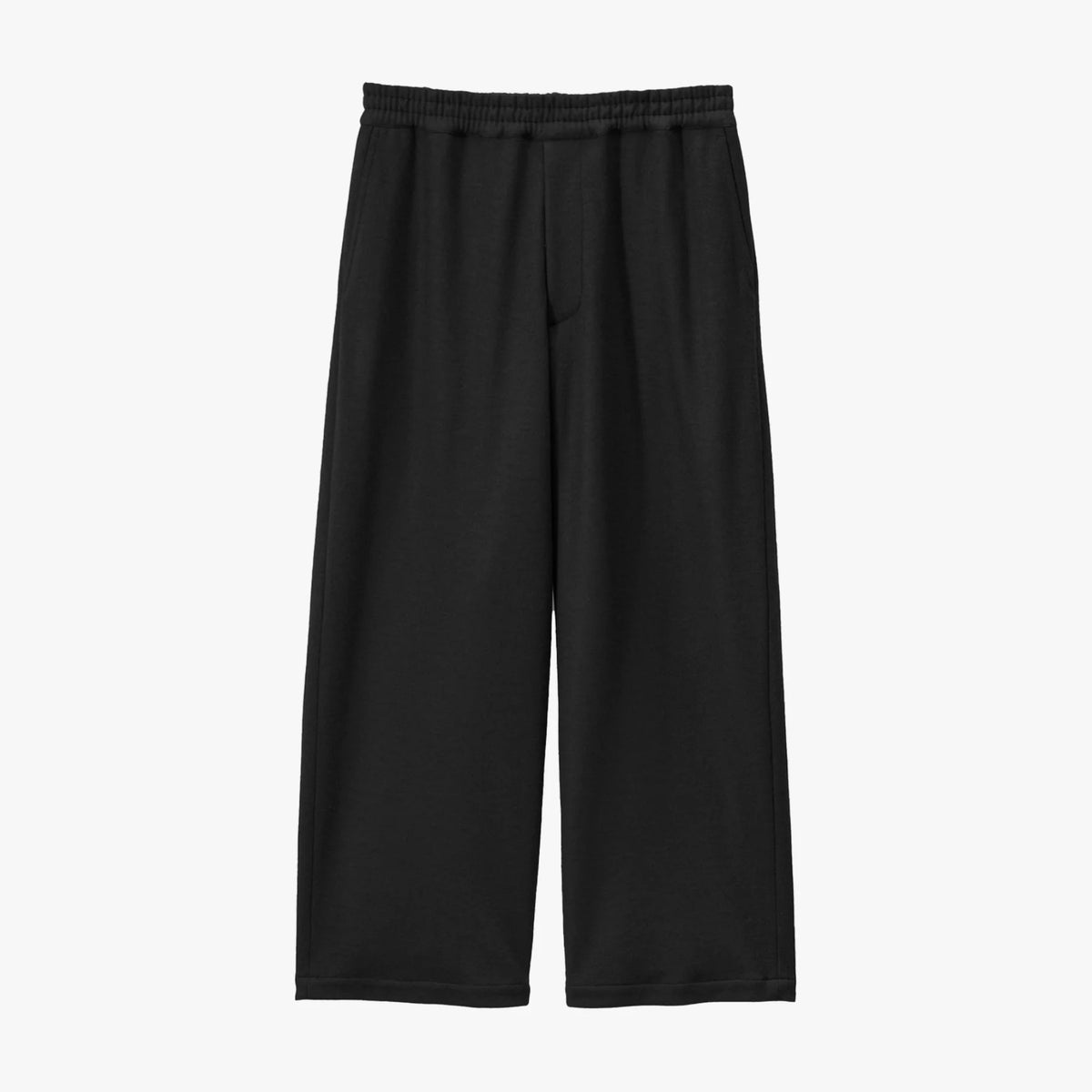 Wool Smooth Flannel Easy Wide Pants [2COLORS]