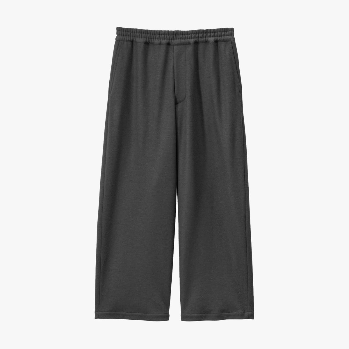 Wool Smooth Flannel Easy Wide Pants [2COLORS]