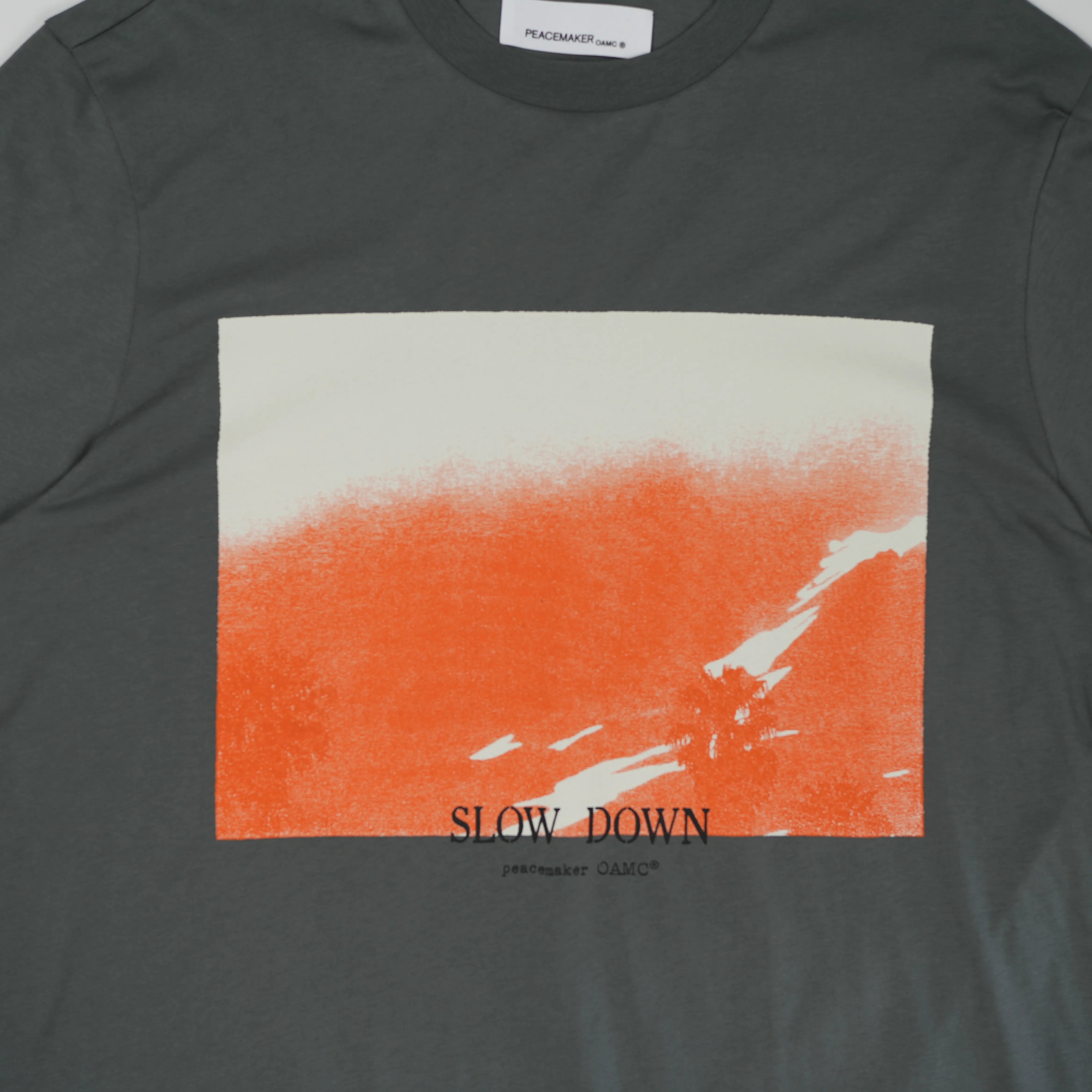 Regular Tee Slow Down Print