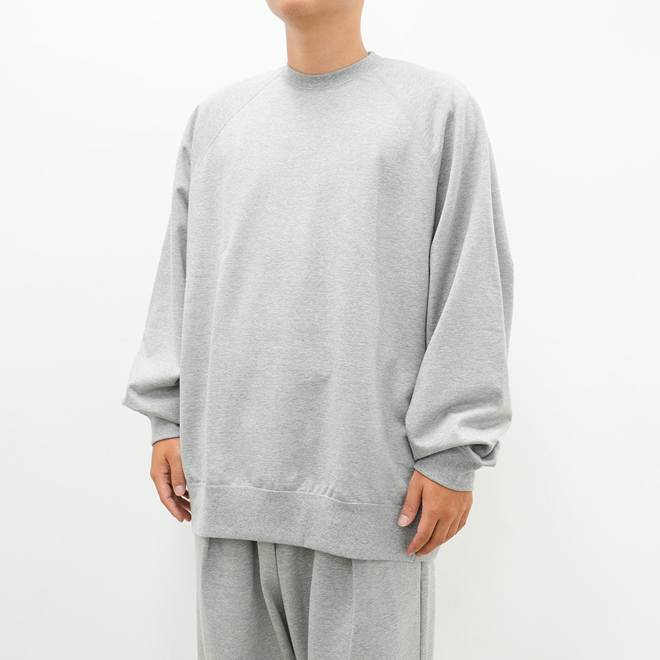 Ultra Compact Terry Crew Neck Sweater [2 COLORS]