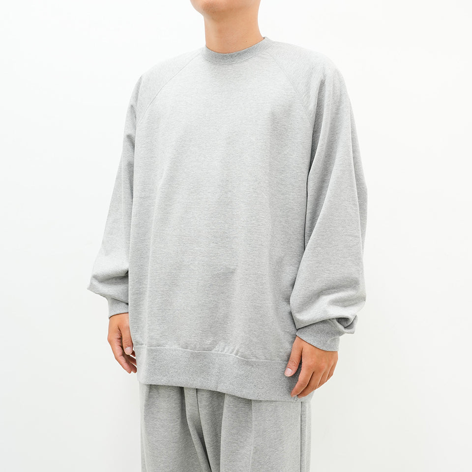 Ultra Compact Terry Crew Neck Sweater [2 COLORS]