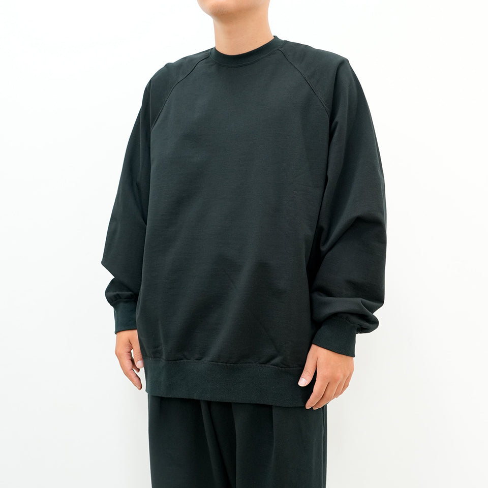 Ultra Compact Terry Crew Neck Sweater [2 COLORS]