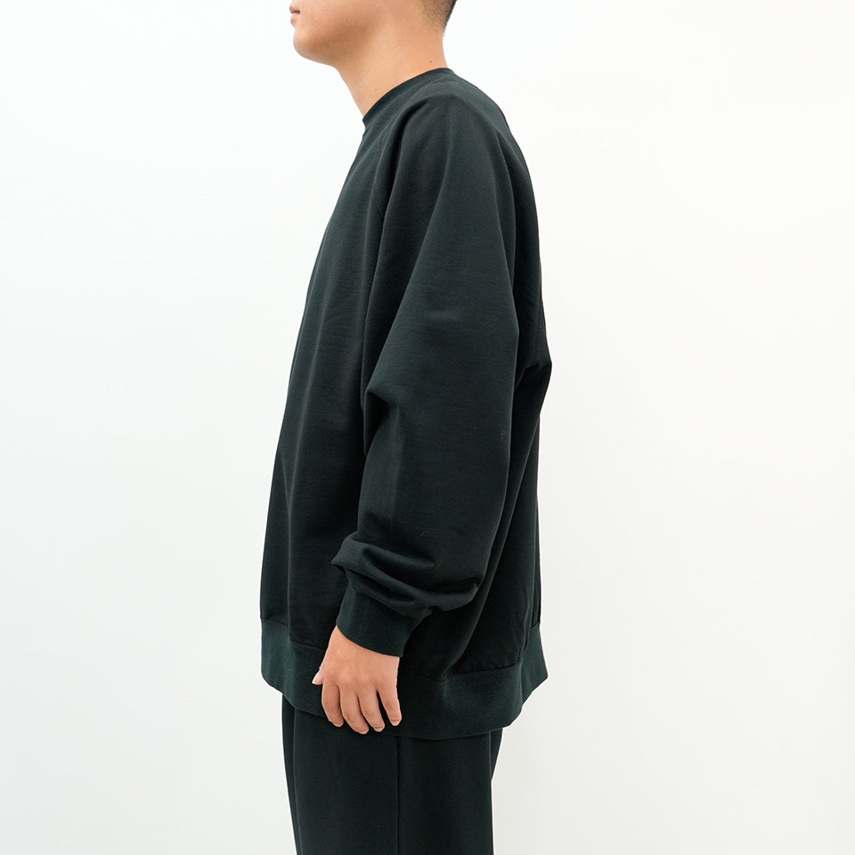 Ultra Compact Terry Crew Neck Sweater [2 COLORS]