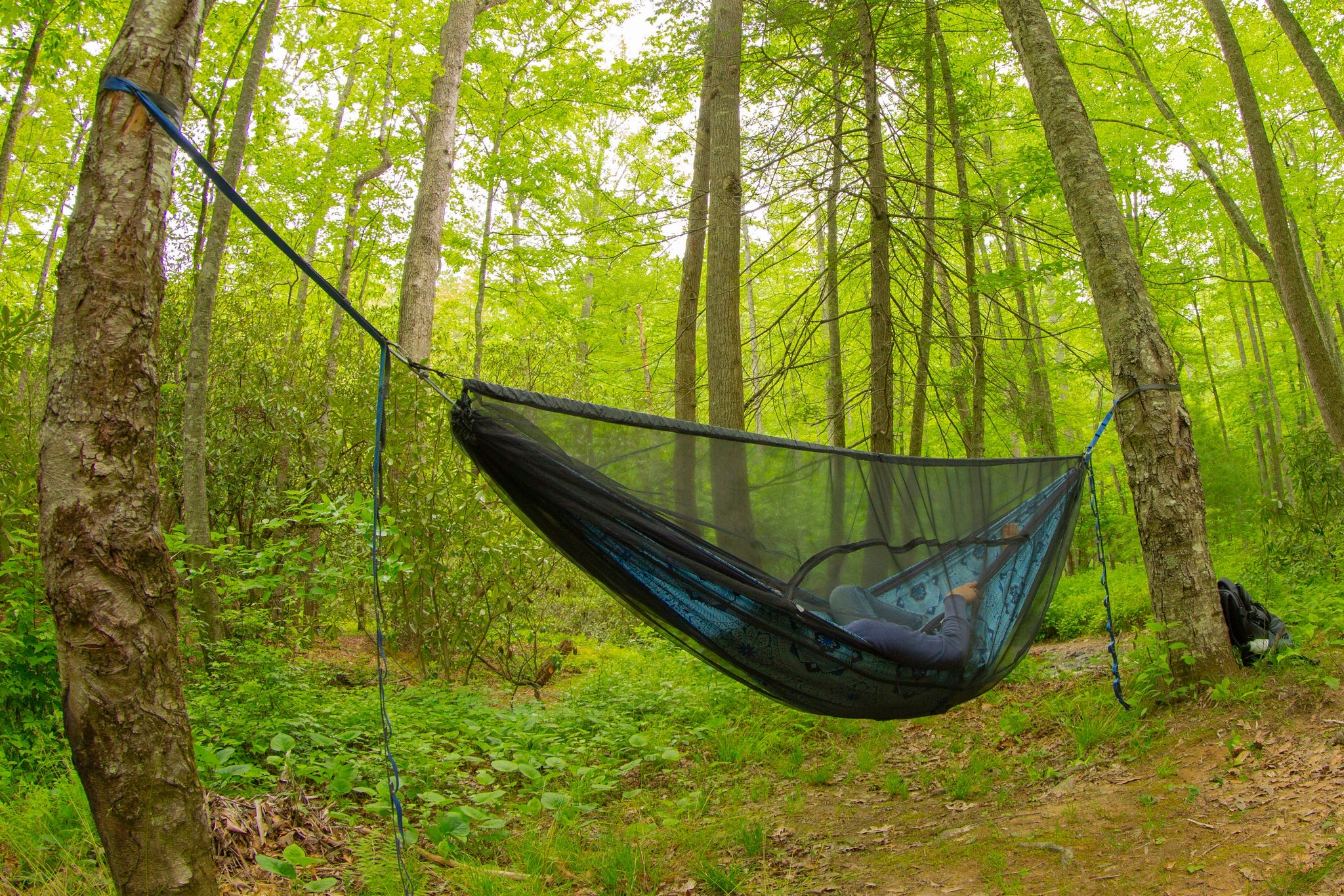 日本人気超絶の 201 Net｜eno｜OUTDOOR Bug SL Guardian | depot GROUND THE ハンモック