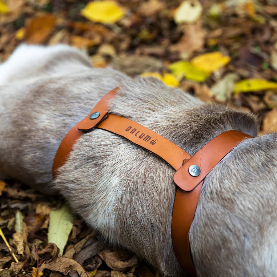 DALUM ダーラム トナカイファー ワード L ③ REINDEER FUR WARD L DALUM ダーラム トナカイファー ワード L ③ REINDEER FUR WARD L