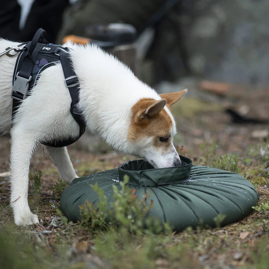 SAVOTTA / WATER CARRYING BAG